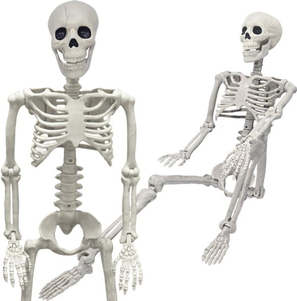 36" Skeleton Halloween Decorations, 3FT Realistic Full Body Movable Posable Joints Skeleton, Creepy Halloween Plastic Skeleton for Graveyard Decorations, Haunted House Props Indoor/Outdoor Decor - Image 4