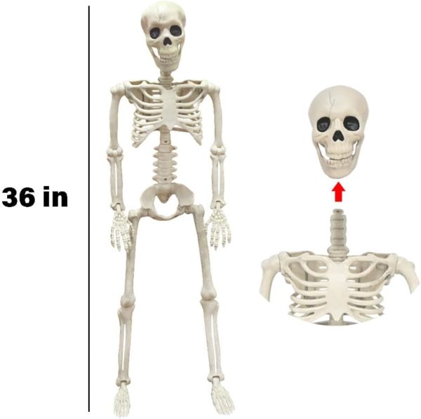 36" Skeleton Halloween Decorations, 3FT Realistic Full Body Movable Posable Joints Skeleton, Creepy Halloween Plastic Skeleton for Graveyard Decorations, Haunted House Props Indoor/Outdoor Decor - Image 2